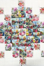 13E4EDF8-196E-40DC-9005-1FA69A3537D3